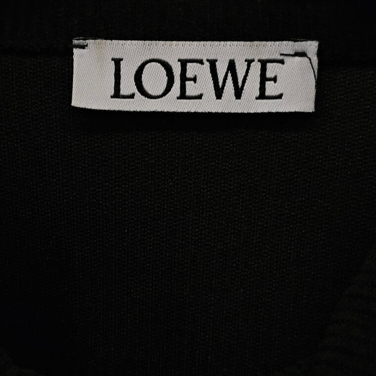 Kostum Loewe