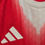 Bayern Jersey