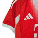 Bayern Jersey