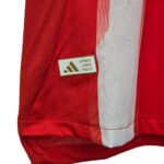 Bayern Jersey
