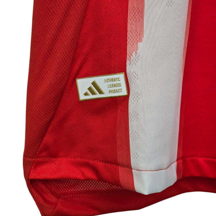 Bayern Jersey
