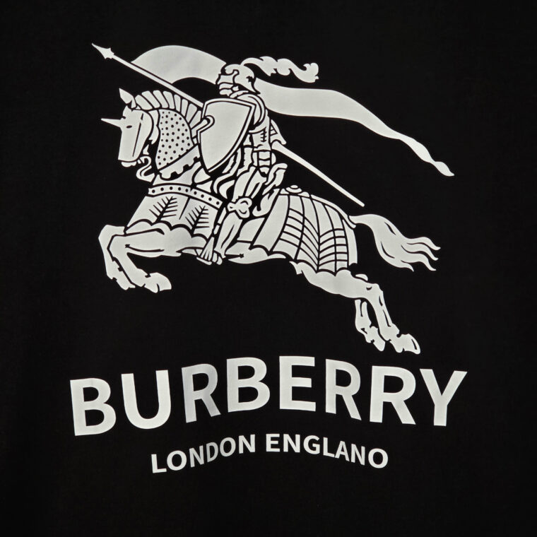 Bluzë Burberry