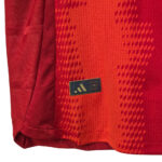 Bayern Jersey