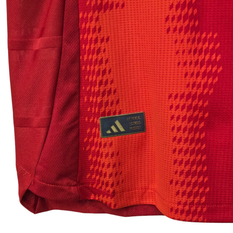 Bayern Jersey