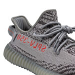 Yeezy 350