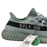 Yeezy 350