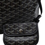 Çantë Goyard