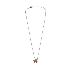 Varse Van Cleef