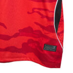 Korea Jersey