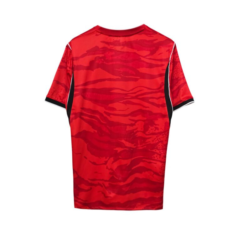 Korea Jersey