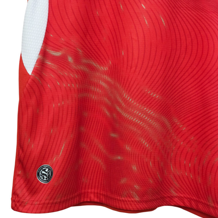 Swiss Jersey